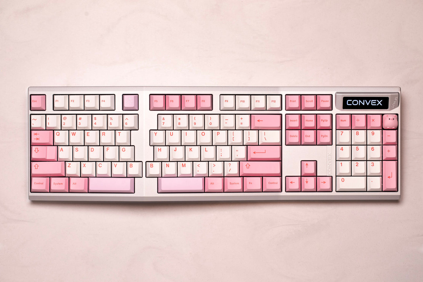 CONVEX _ TENTING 100% KEYBOARD KIT